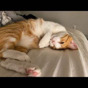 Meet your Posher, Jiaxuan